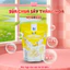 Combo 5 Sữa Chua Sấy Yobite Kids 20Gr + 3 Bánh Ăn Dặm 42Gr, Hỗ Trợ Tiêu Hóa, Ăn Dặm