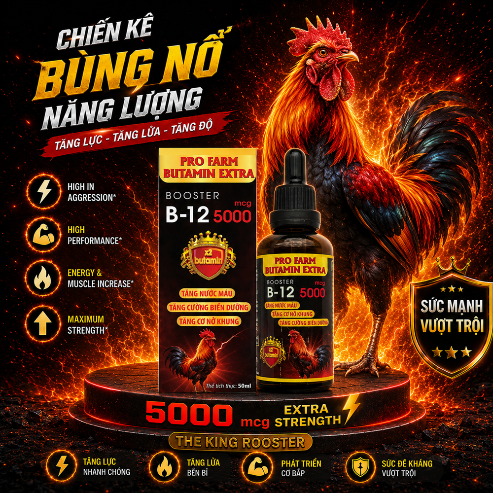 Butamin B12 5.000 nuôi gà chế độ tăng bo, nở khung tăng nước máu hừng gà (50ml)