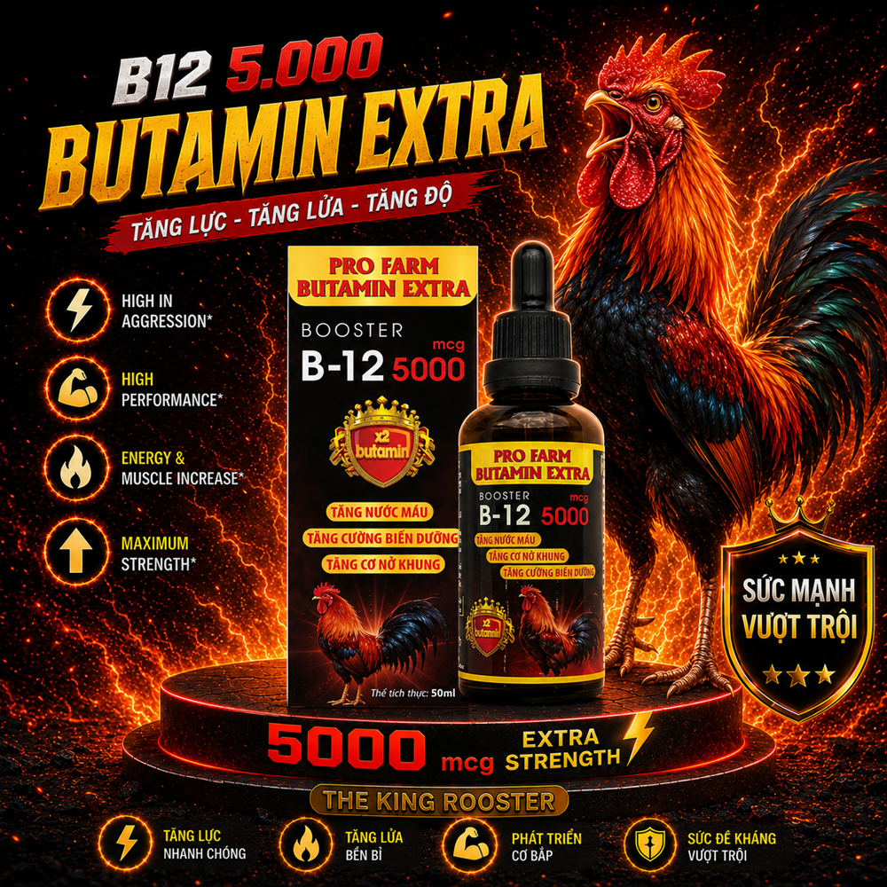 Butamin B12 5.000 nuôi gà chế độ tăng bo, nở khung tăng nước máu hừng gà (50ml)