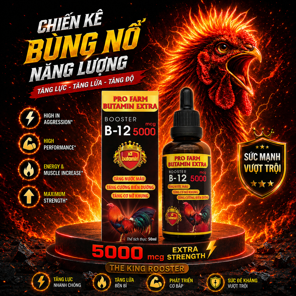 Butamin B12 5.000 nuôi gà chế độ tăng bo, nở khung tăng nước máu hừng gà (50ml)
