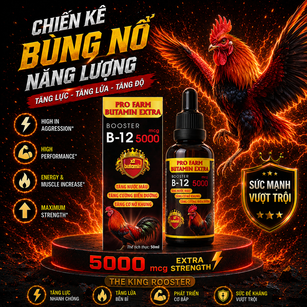Butamin B12 5.000 nuôi gà chế độ tăng bo, nở khung tăng nước máu hừng gà (50ml)