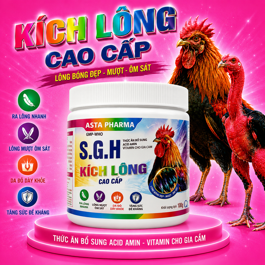 Kích Lông Cao Cấp SGH dùng cho gà thay lông, khỏe, bóng mượt (hủ 100g)