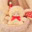 Blind Box Lucky Deer Nai: Sweetheart Baby - Hộp Mù Em Bé Nai Siêu Dễ Thương