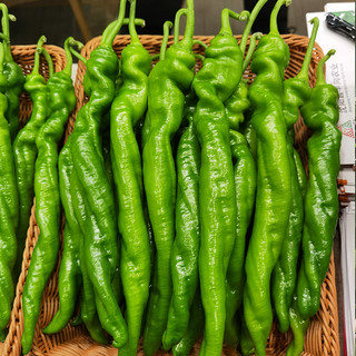 Hạt Giống  Ớt Siêu - Screw Pepper Seeds-100Hạt