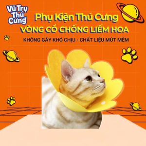 Vòng cổ chống liếm cho chó mèo, hình bông hoa dễ thương