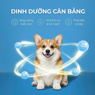 Pate cho chó Faenbei, Pate dạng Mousse sánh mịn, Ngon miệng, Dinh dưỡng cao, Cho mọi độ tuổi, 130g