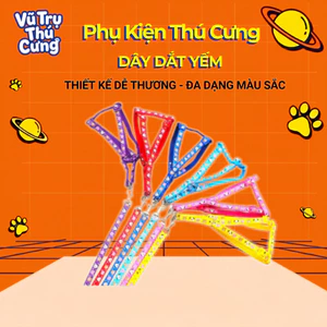 Set dây dắt chó mèo đi dạo, dây vòng cổ, dây yếm (màu ngẫu nhiên)