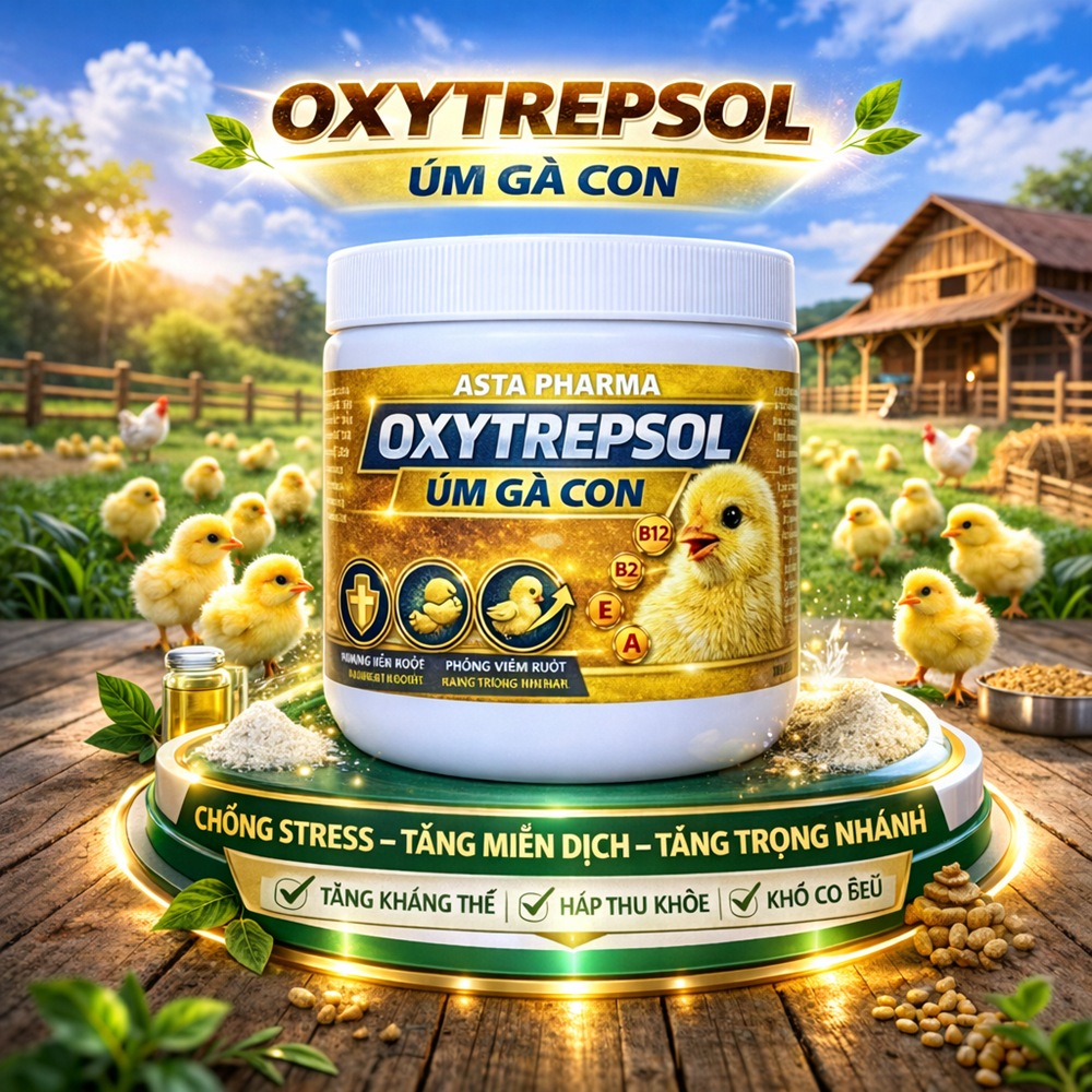 Siêu Úm Gà Con B12 Pro Phòng Tụ huyết trùng ,khò khè ,sưng mắt phù đầu ,cảm cúm ,phân xanh trắng (hủ 100g)