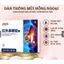 Miếng Dán Mũi Viêm Xoang Thảo Dược, Miếng Dán Ngăn Nghẹt Mũi Dị Ứng Và Viêm Xoang, Thông Thoáng Mũi/ Nhà Của Jang