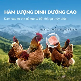 Pate cho mèo Faenbei- Pate sữa lắc vị thịt gà - Ngon miệng - Dinh dưỡng cao - Cho mọi độ tuổi - 85g