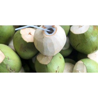 1 Trái Dừa Xiêm xanh/đỏ Gọt sẵn 2 đầu Nguyên vỏ KACOCO - Ngọt, mát giải nhiệt chính gốc miền tây tiện lợi dễ mở