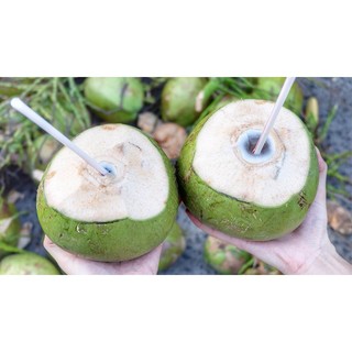 1 Trái Dừa Xiêm xanh/đỏ Gọt sẵn 2 đầu Nguyên vỏ KACOCO - Ngọt, mát giải nhiệt chính gốc miền tây tiện lợi dễ mở