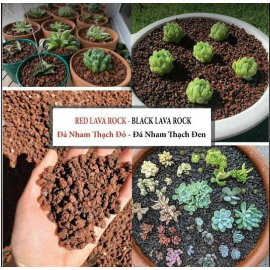 Đá Nham Thạch Phủ Mặt Chậu Xương Rồng – Trang Trí, Thoáng Rễ, Chống Bắn Đất, Chống Cỏ Dại