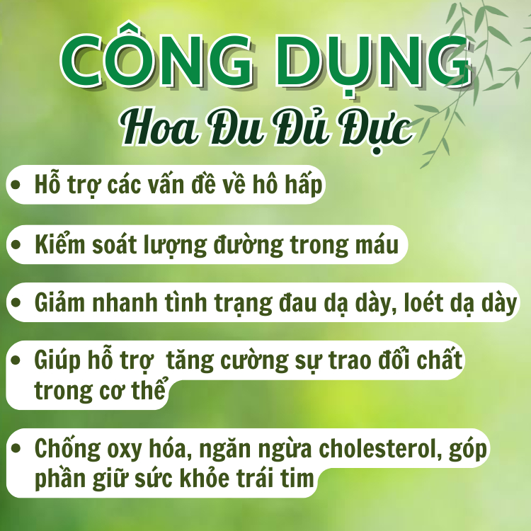 200g, 500g Hoa Đu Đủ Đực Loại 1 Đức Thiện  – Hỗ Trợ Bệnh Tiểu Đường, Phòng Chống U-ng Th-ư