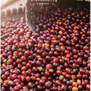 cà phê rang xay cao cấp 500gram/1 túi buôn mê