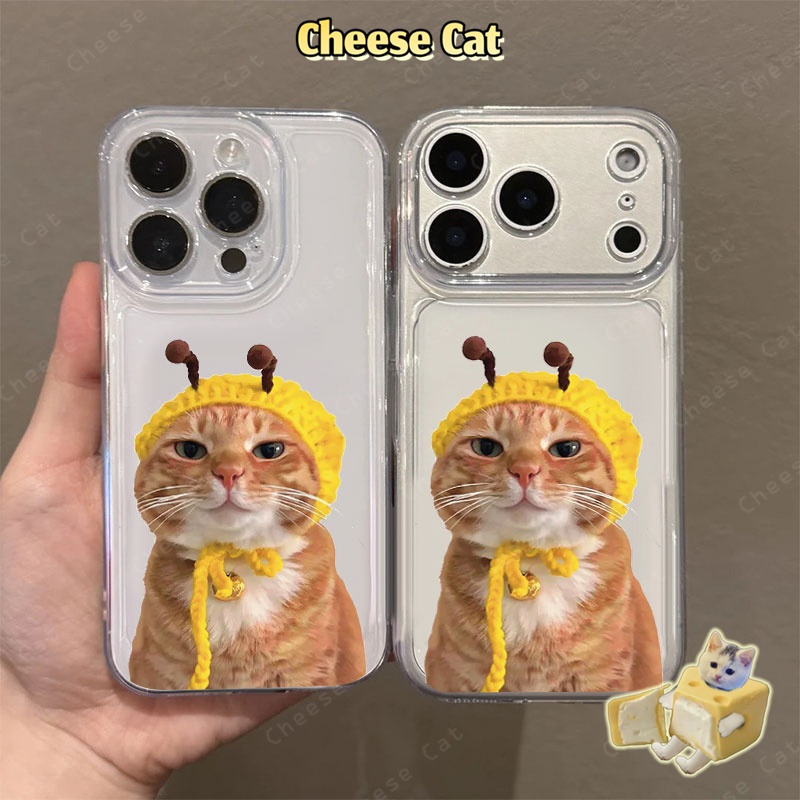 Ốp lưng điện thoại hình mèo cam và mũ ong cho iPhone 12 11 15 14 13 16 17 Pro Max Xs XR 7 8 Plus SE trong suốt