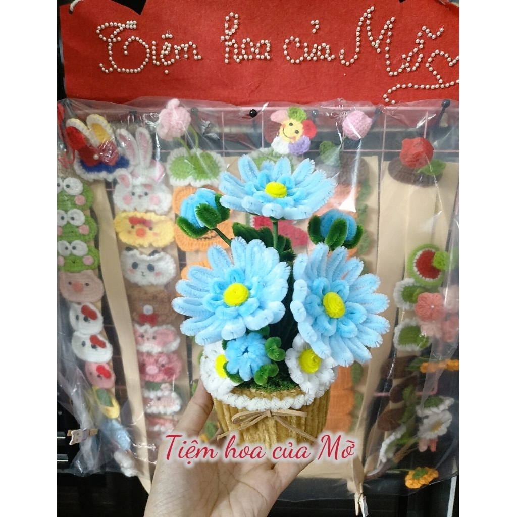 Chậu Hoa Tigon Kẽm Nhung Trang Trí, Quà Tặng Xinh Xắn
