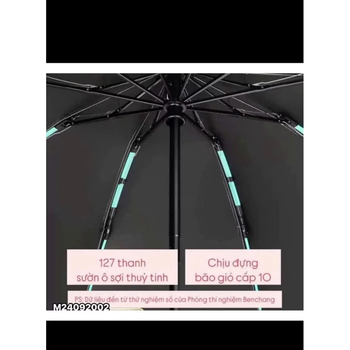 Umbrella