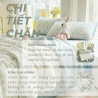Chăn hè chần bông Cotton Đũi Windy M2T BEDDING kích thước 2mx2m3 - Mềm mại, Mịn màng