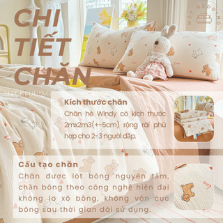 Chăn hè chần bông Cotton Đũi Windy M2T BEDDING kích thước 2mx2m3- Mềm mại, Mịn màng dùng 4 mùa