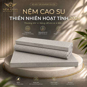 NỆM VÀNG - Nệm Cao Su Thiên Nhiên Hoạt Tính Weanllian 1m6x2m Dày 5cm, Êm Ái, Đàn Hồi Tốt, Thoáng Khí