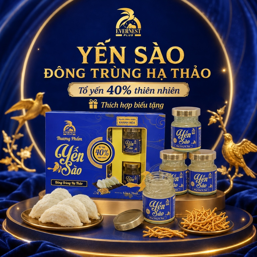( COMBO TIẾT KIỆM 10 - 16 - 32 HỘP) YẾN SÀO ĐÔNG TRÙNG HẠ THẢO 40% - EVERNEST PLUS