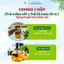 COMBO 1 Hộp Trà Lá Nam 10 Vị Và 1 Hộp Trà Mâm Xôi Thảo Dược Zone