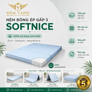 NỆM BÔNG ÉP GẤP 3 SOFTNICE