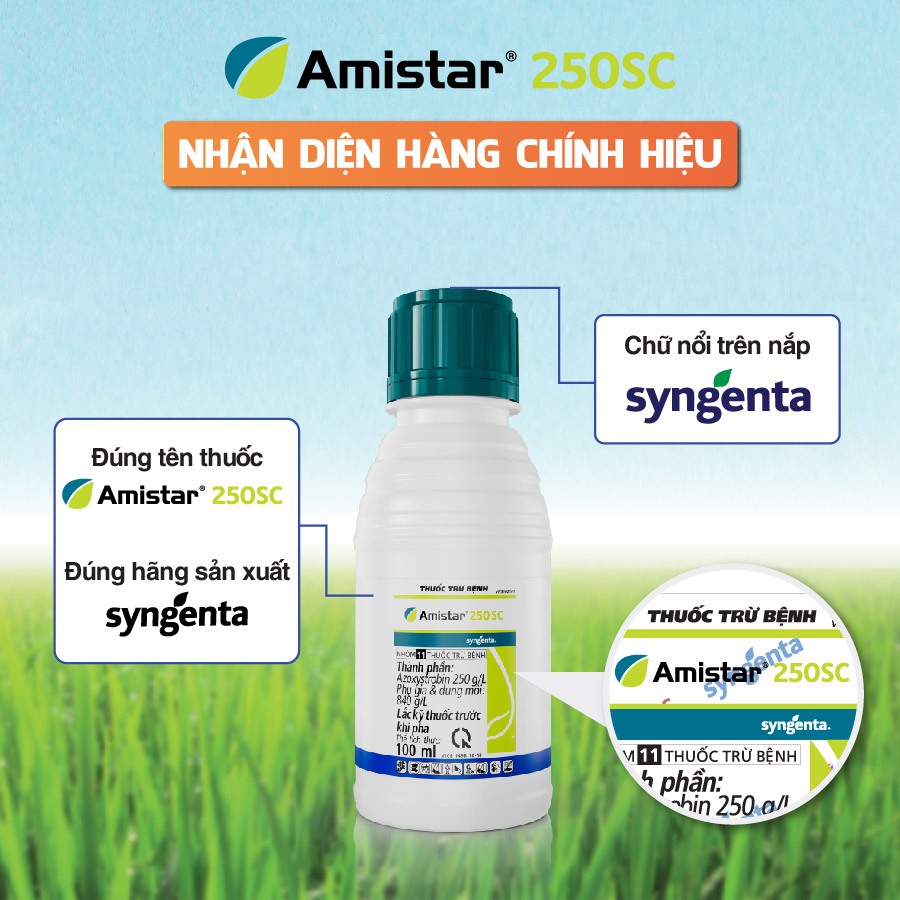 Thuốc trừ bệnh Amistar 250SC 100ml Chính hãng Syngenta