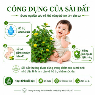 Nước tắm sài đất tía tô rau má giảm rôm sảy, hăm tã, dịu da mùa hè an toàn cho bé - chai 500ml
