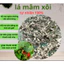 1kg cây mâm xôi rừng, lá mâm xôi khô làm dày niêm mạc hỗ trợ ivf-iui, hỗ trợ đau bụng kinh, viêm nhiềm phụ khoa