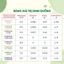 Hộp 50 Gói Trà Kombucha Mix 8 Vị Hỗ Trợ Thâm Hụt Calo Đẹp Dáng Đẹp Da Giàu Lợi Khuẩn