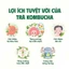Hộp 50 Gói Trà Kombucha Mix 8 Vị Hỗ Trợ Thâm Hụt Calo Đẹp Dáng Đẹp Da Giàu Lợi Khuẩn