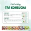 Hộp 50 Gói Trà Kombucha Mix 8 Vị Hỗ Trợ Thâm Hụt Calo Đẹp Dáng Đẹp Da Giàu Lợi Khuẩn
