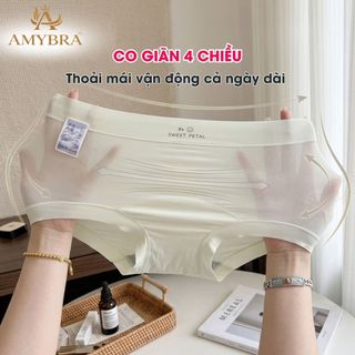 ( Hộp Quà Tặng ) Set 5 Quần Lót Nữ Boxer Su Lụa Mỏng Mát, Quần Lót Đùi Đáy Rộng Cotton AMYBRA L5422