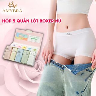 ( Hộp Quà Tặng ) Set 5 Quần Lót Nữ Boxer Su Lụa Mỏng Mát, Quần Lót Đùi Đáy Rộng Cotton AMYBRA L5422