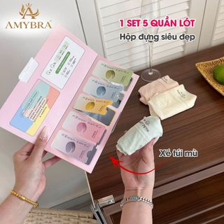 ( Hộp Quà Tặng ) Set 5 Quần Lót Nữ Boxer Su Lụa Mỏng Mát, Quần Lót Đùi Đáy Rộng Cotton AMYBRA L5422
