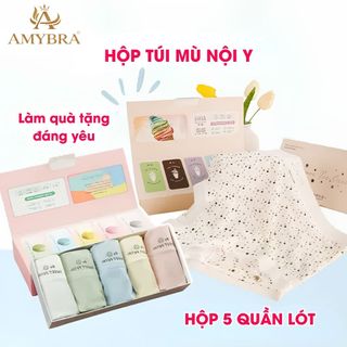 ( Hộp Quà Tặng ) Set 5 Quần Lót Nữ Boxer Su Lụa Mỏng Mát, Quần Lót Đùi Đáy Rộng Cotton AMYBRA L5422