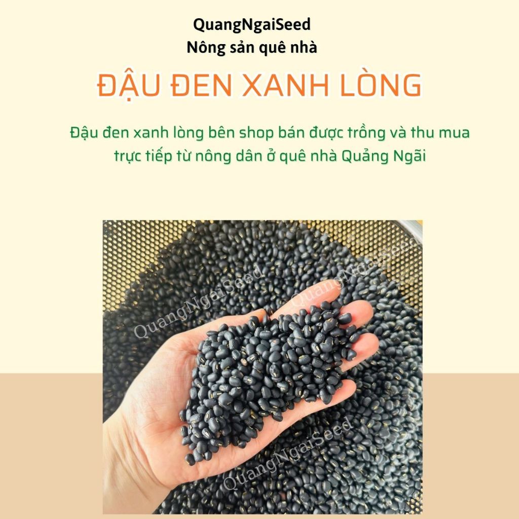 Đậu Đen Xanh Lòng Quảng Ngãi Phơi Khô Tự Nhiên