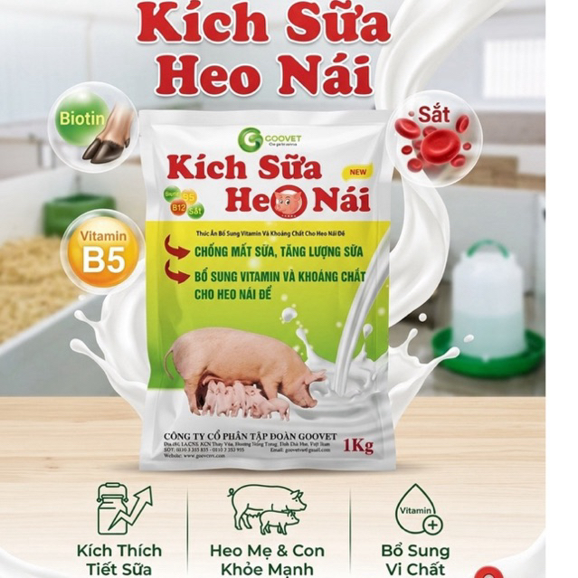 kích sửa heo nái gói 1kg
