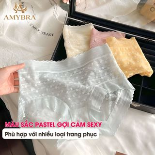 Combo Quần Lót Ren Nữ Xuyên Thấu Gợi Cảm, Quần Chíp Đùi Ren Hoa Cạp Cao Viền Bèo AMYBRA L5505