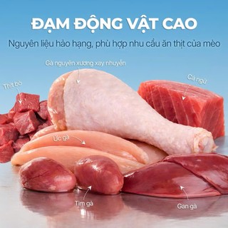 Pate cho mèo Faenbei, Pate dạng Mousse sánh mịn, Ngon miệng, Dinh dưỡng cao, Cho mọi độ tuổi, 85g