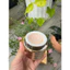 Kem Dưỡng Da Lancôme Absolue Soft Cream 60ml Dưỡng Ẩm Mềm Mịn Da Cao Cấp Chính Hãng