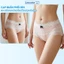 Quần Lót Nữ, Quần Chip Nữ cotton viền phối ren cap vừa form ôm dáng đáy kháng khuẩn ZANABRA L6011