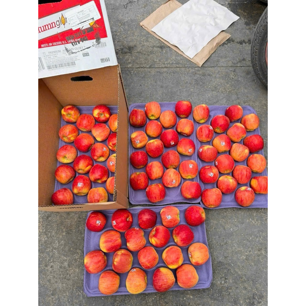 [ JENNY FRUIT ] [ HỎA TỐC ] Thùng táo autum size 100trai/18kg