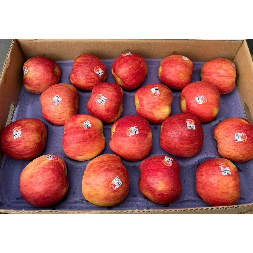 [ JENNY FRUIT ] [ HỎA TỐC ] Thùng táo autum size 100trai/18kg