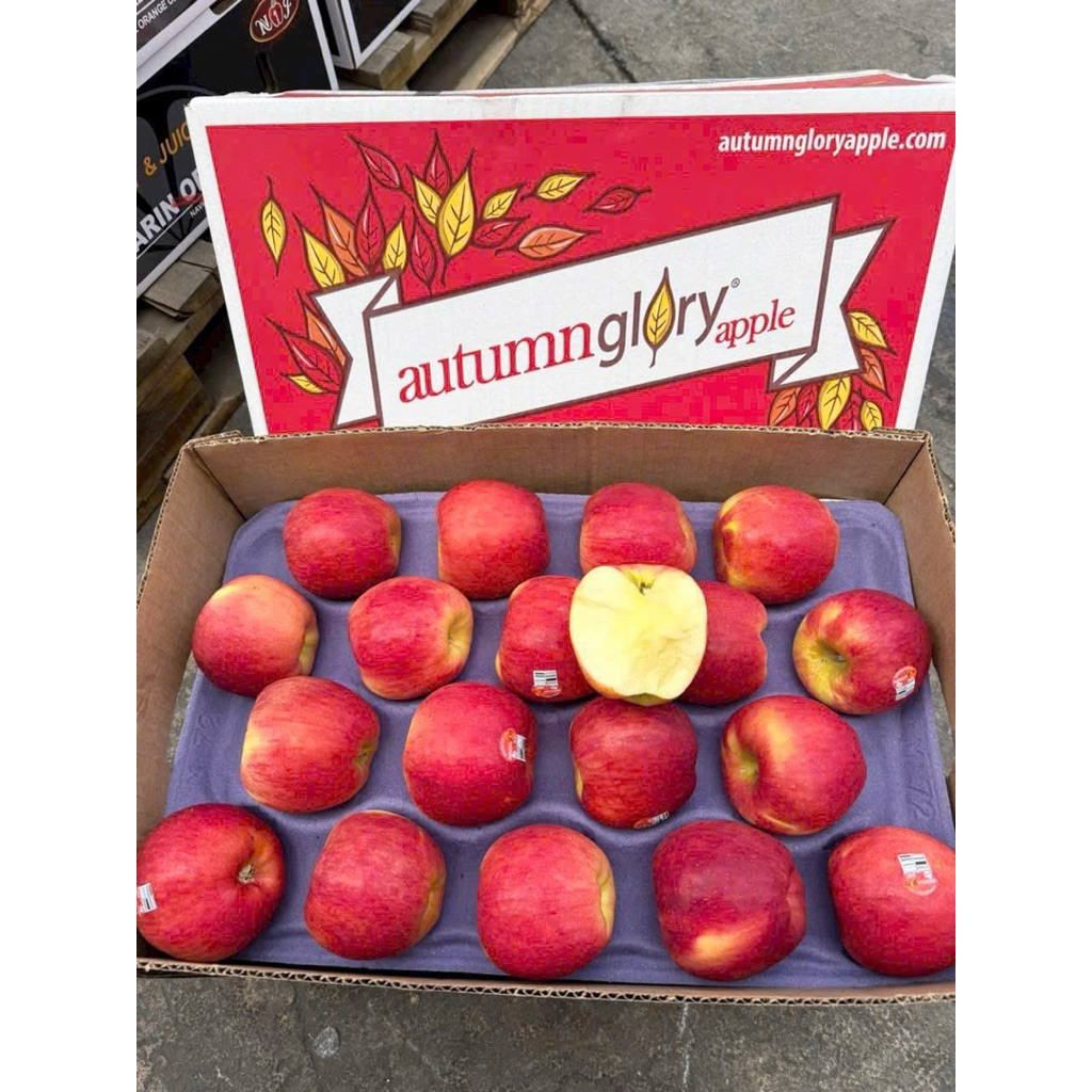 [ JENNY FRUIT ] [ HỎA TỐC ] Thùng táo autum size 100trai/18kg