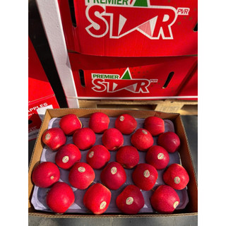 [ JENNY FRUIT ] GIAO NHANH HCM - TAÓ star của newzealand 1KG