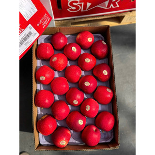 [ JENNY FRUIT ] GIAO NHANH HCM - TAÓ star của newzealand 1KG