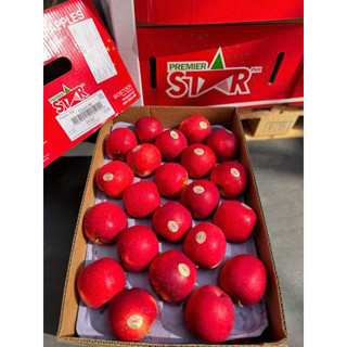 [ JENNY FRUIT ] GIAO NHANH HCM - TAÓ star của newzealand 1KG